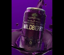 Wildberry Can 3D image